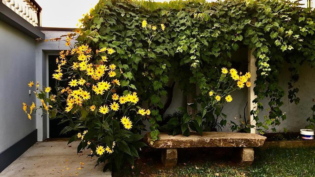 Casa Às Nove Angra do Heroísmo Exterior foto